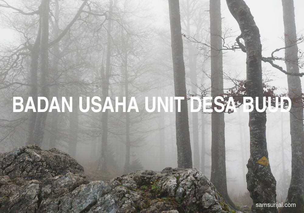 Arti Badan Usaha Unit Desa Buud