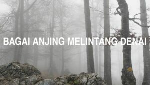 Bagai Anjing Melintang Denai