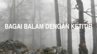 Bagai Balam Dengan Ketitir