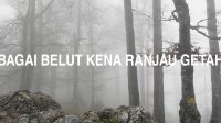 Bagai Belut Kena Ranjau Getah