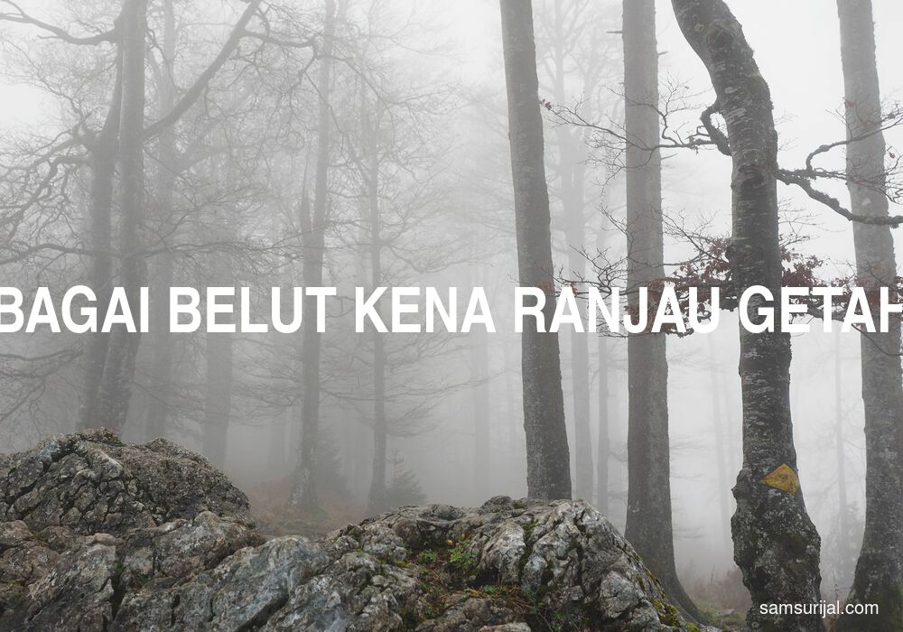 Arti Bagai Belut Kena Ranjau Getah