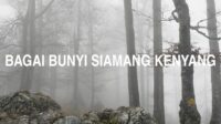 Bagai Bunyi Siamang Kenyang