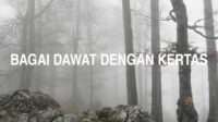 Bagai Dawat Dengan Kertas