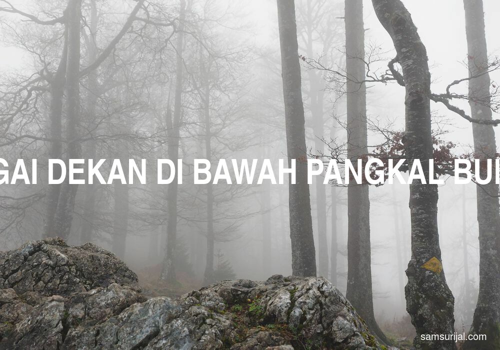 Arti Bagai Dekan Di Bawah Pangkal Buluh