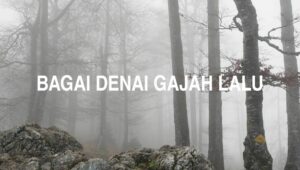 Bagai Denai Gajah Lalu