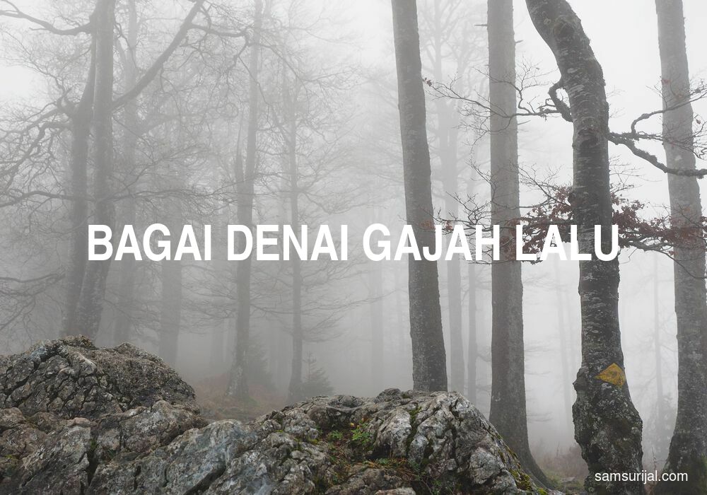 Arti Bagai Denai Gajah Lalu