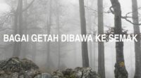 Bagai Getah Dibawa Ke Semak