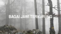 Bagai Jawi Terkurung