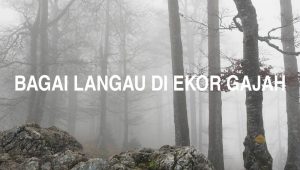 Bagai Langau Di Ekor Gajah