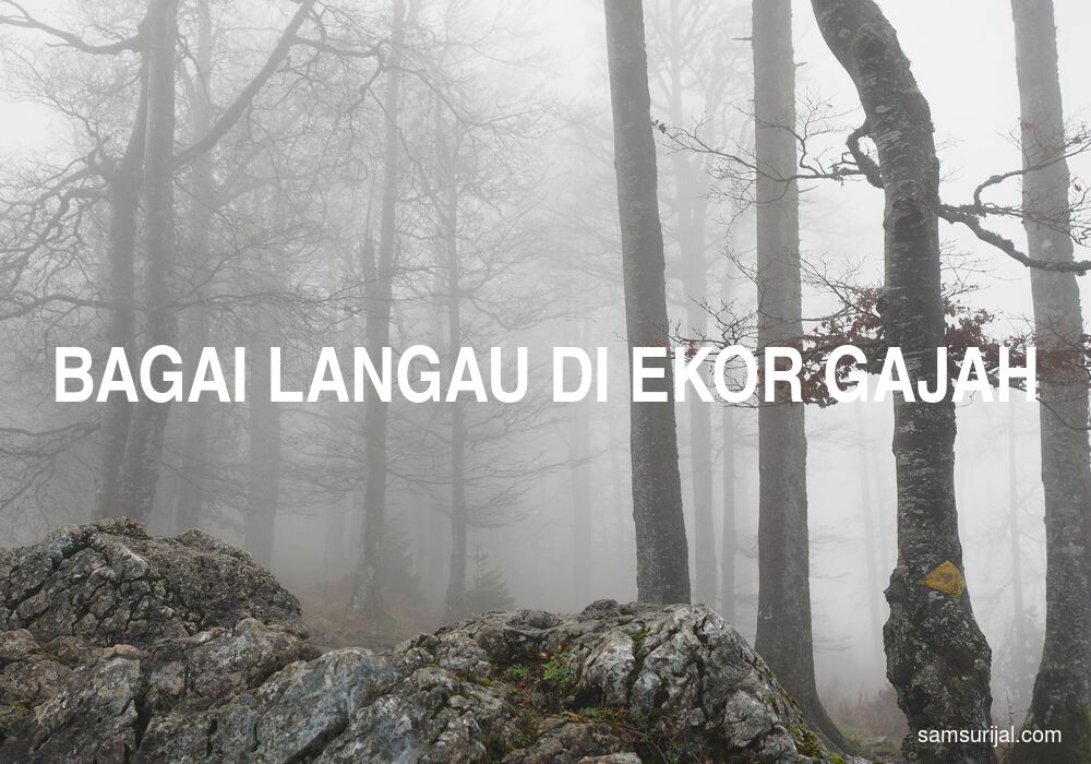 Arti Bagai Langau Di Ekor Gajah