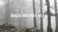 Bagai Melihat Asam