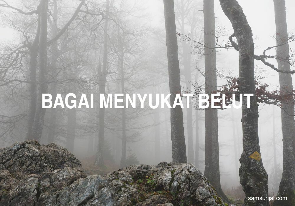 Arti Bagai Menyukat Belut