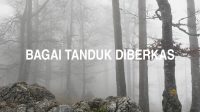 Bagai Tanduk Diberkas