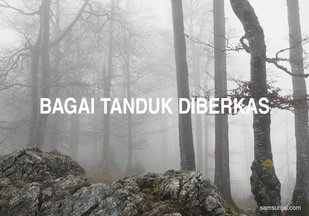 Arti Bagai Tanduk Diberkas