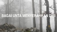 Bagai Unta Menyerahkan Diri