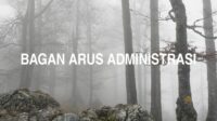 Bagan Arus Administrasi