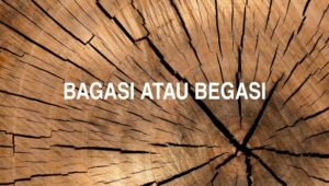 Bagasi atau Begasi