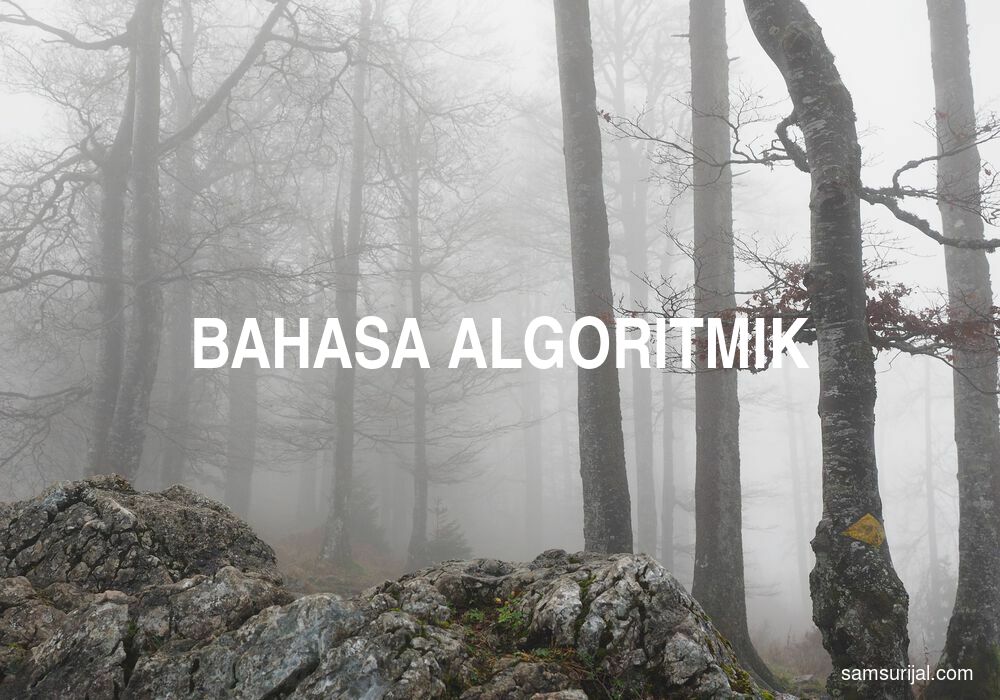 Arti Bahasa Algoritmik