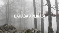 Bahasa Aplikasi