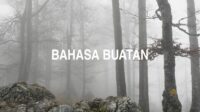 Bahasa Buatan