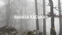 Bahasa Kacukan