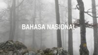 Bahasa Nasional