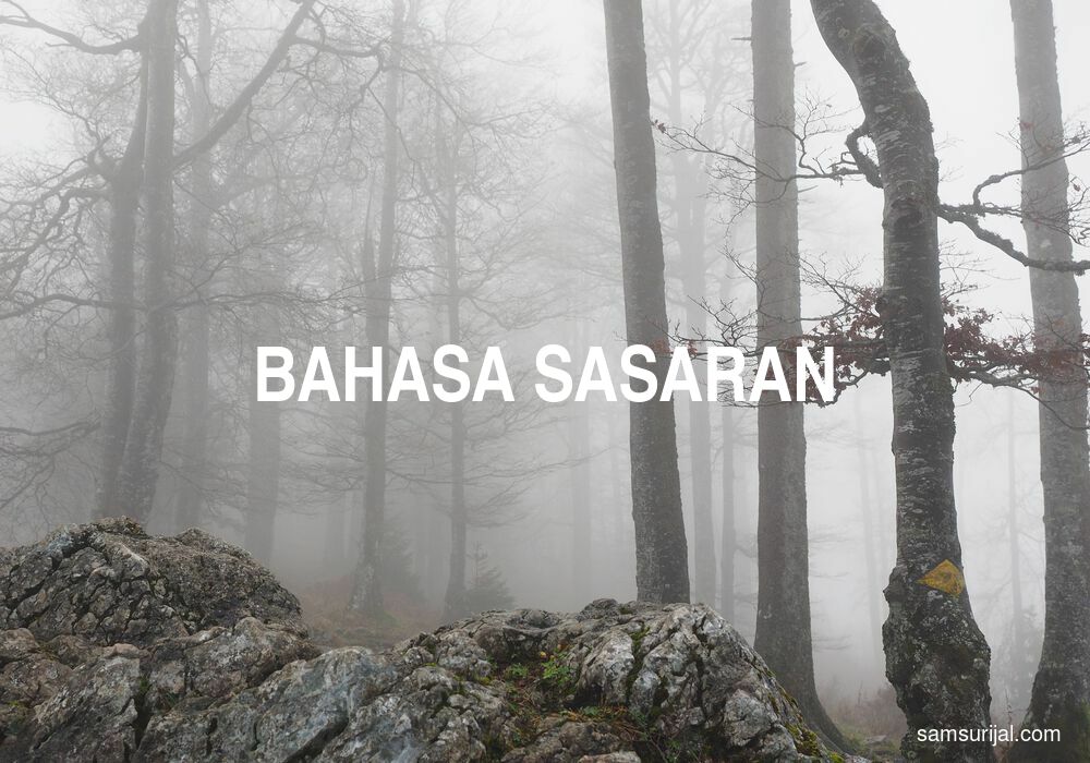 Arti Bahasa Sasaran