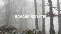 Bahasa Sintetis