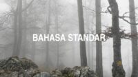 Bahasa Standar