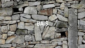 Arti Bais