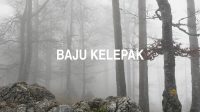 Baju Kelepak