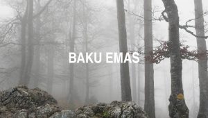 Arti Baku Emas