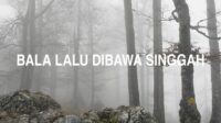 Bala Lalu Dibawa Singgah