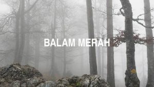 Balam Merah