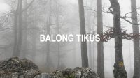 Balong Tikus