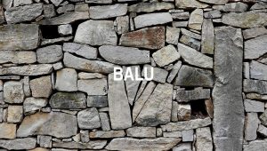 Arti Balu