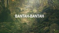 Bantah-Bantah