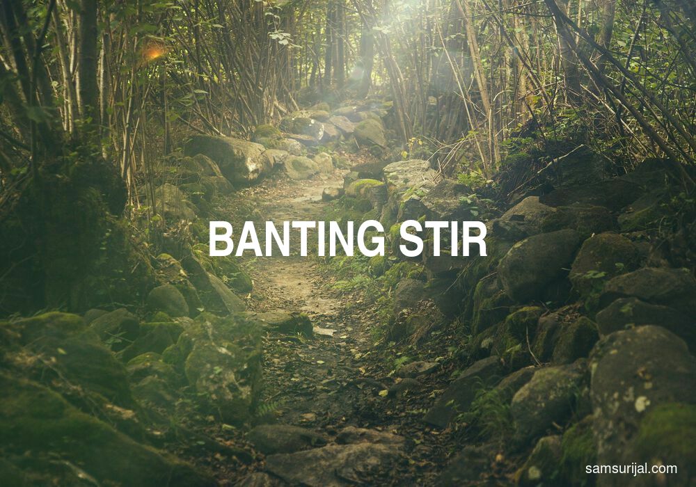 Arti Banting Stir