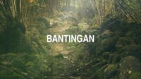 Bantingan