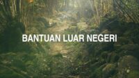 Bantuan Luar Negeri