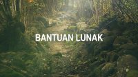 Bantuan Lunak