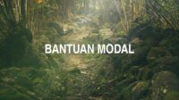 Bantuan Modal