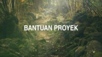 Bantuan Proyek