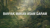 Banyak Makan Asam Garam