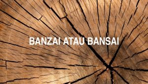 Banzai atau Bansai