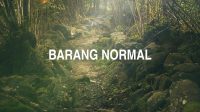 Barang Normal