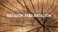 Batalion atau Batalyon