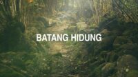 Batang Hidung