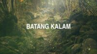 Batang Kalam