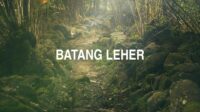 Batang Leher